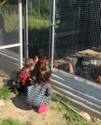 Prácticas de Educación Infantil en Forlí&nbsp;(Italia)
