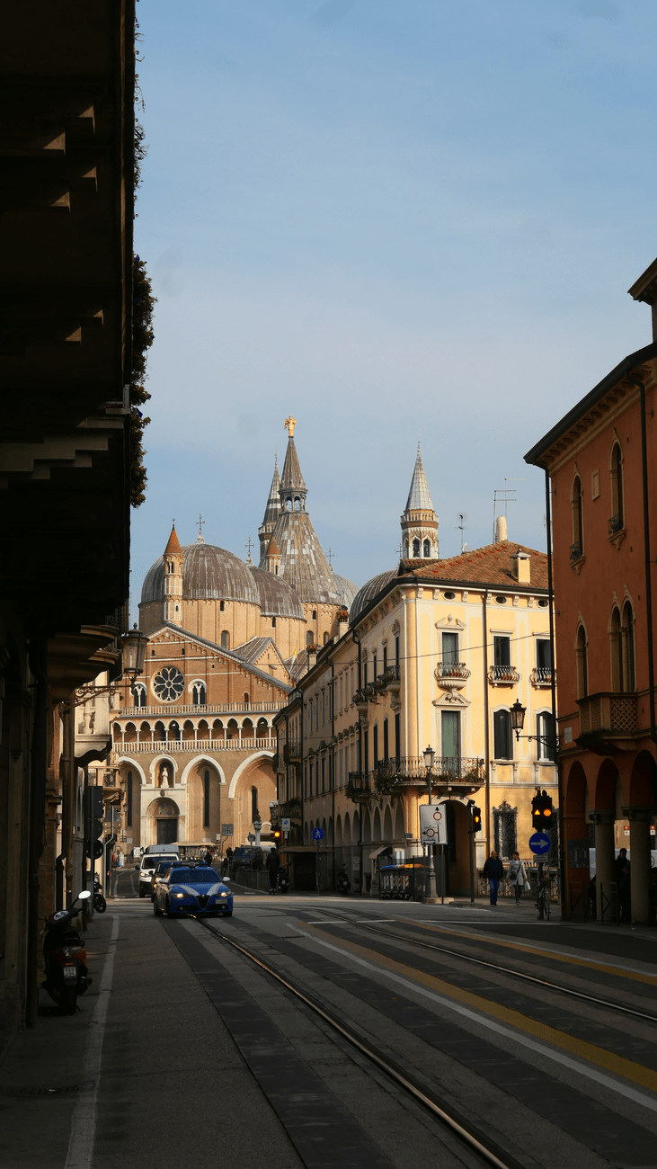Forli, educación y&nbsp;amigos