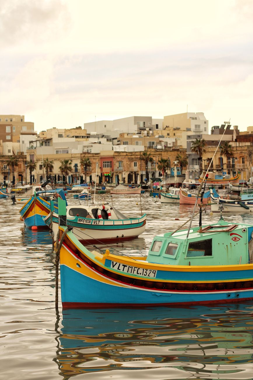 Farmacia, Dietética y Animación Sociodeportiva conviviendo en&nbsp;Malta